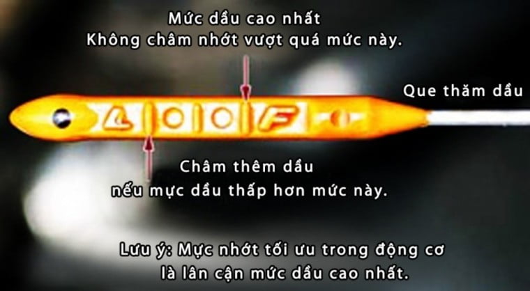 Định mức thay nhớt xe ô tô và cách thay nhớt xe ô tô tại nhà mới nhất